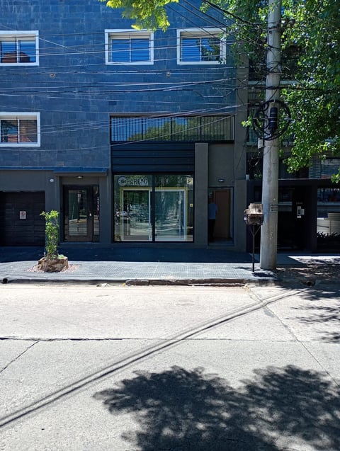 Modern dark blue building storefront with glass doors and windows, white-trimmed upper floors, ivy climbing right side, street level view